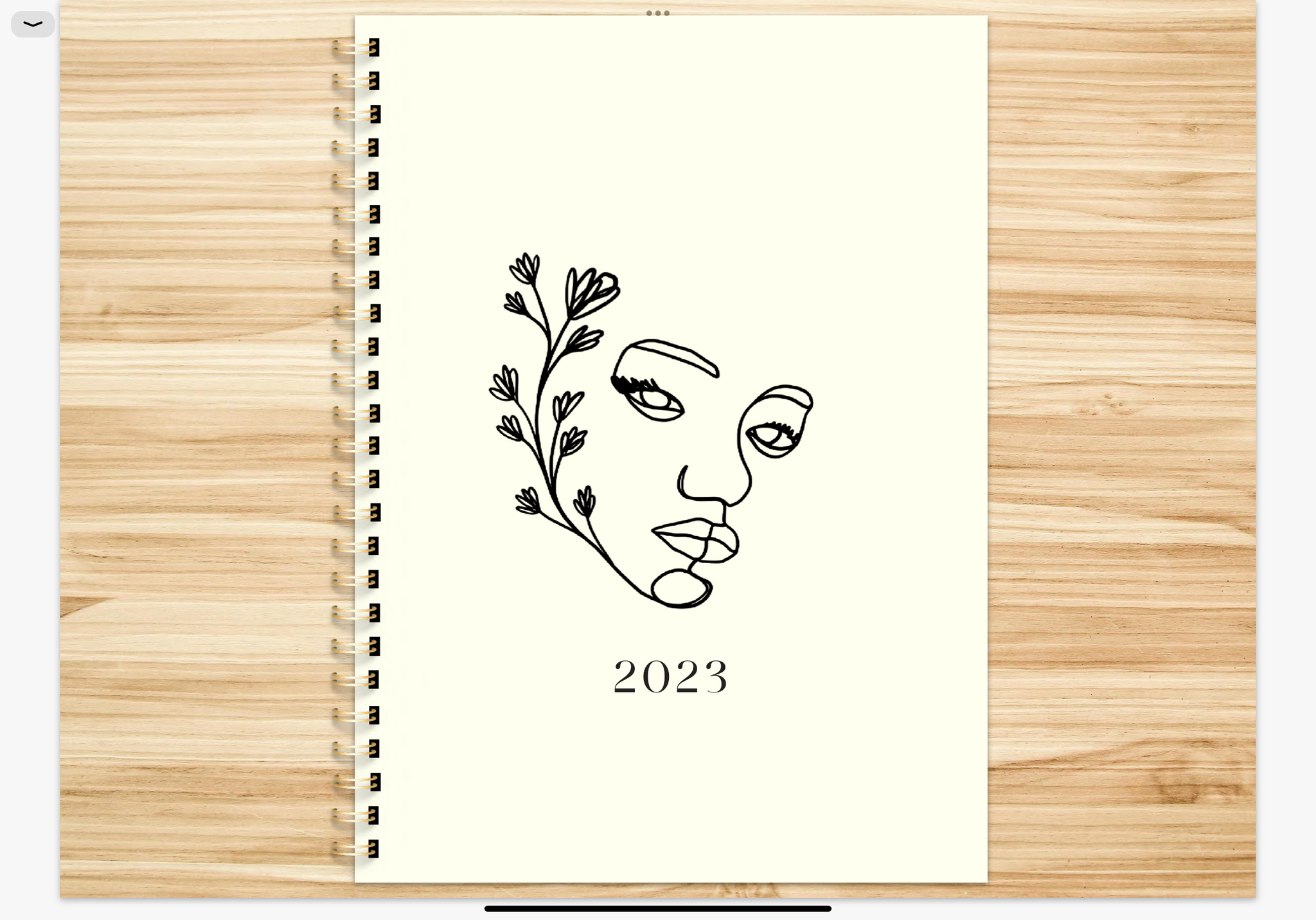 MINIMALIST 2023 DIGITAL PLANNER