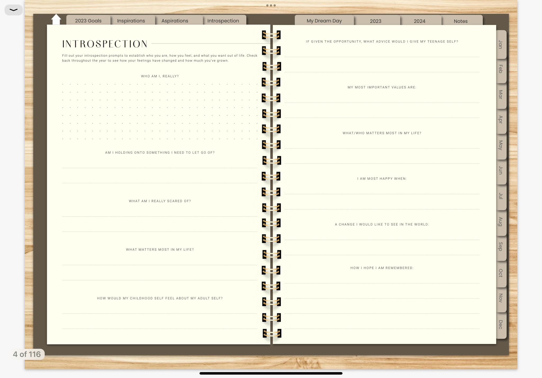 MINIMALIST 2023 DIGITAL PLANNER