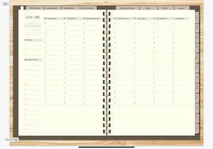MINIMALIST 2023 DIGITAL PLANNER