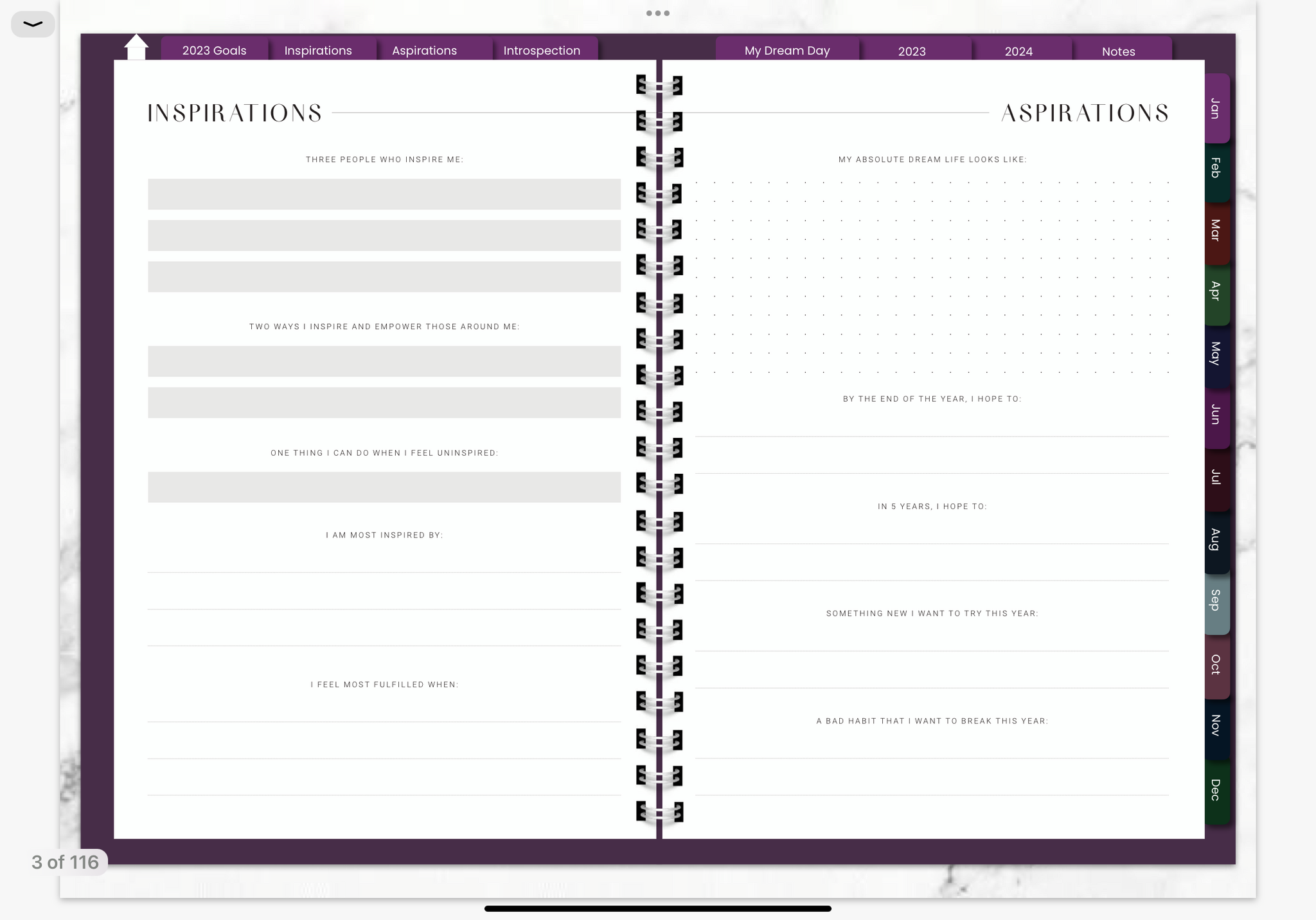 KITCHEN WITCH 2023 DIGITAL PLANNER