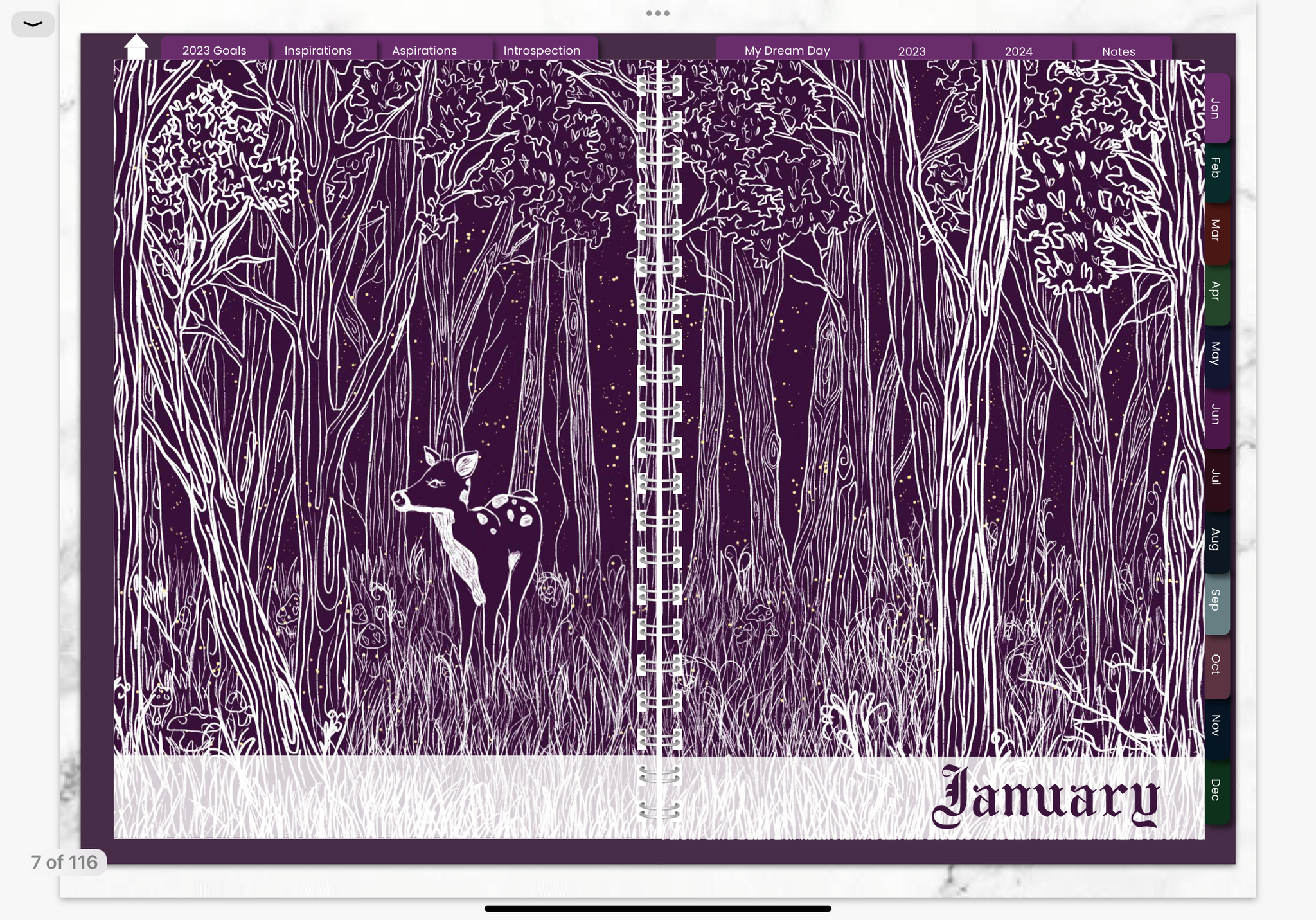 KITCHEN WITCH 2023 DIGITAL PLANNER