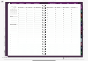 KITCHEN WITCH 2023 DIGITAL PLANNER