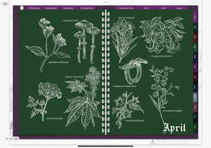KITCHEN WITCH 2023 DIGITAL PLANNER