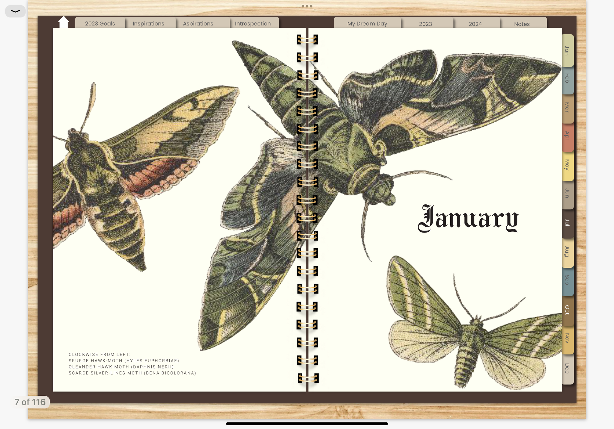 MOTHS & BUTTERFLIES 2023 DIGITAL PLANNER