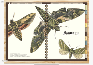 MOTHS & BUTTERFLIES 2023 DIGITAL PLANNER