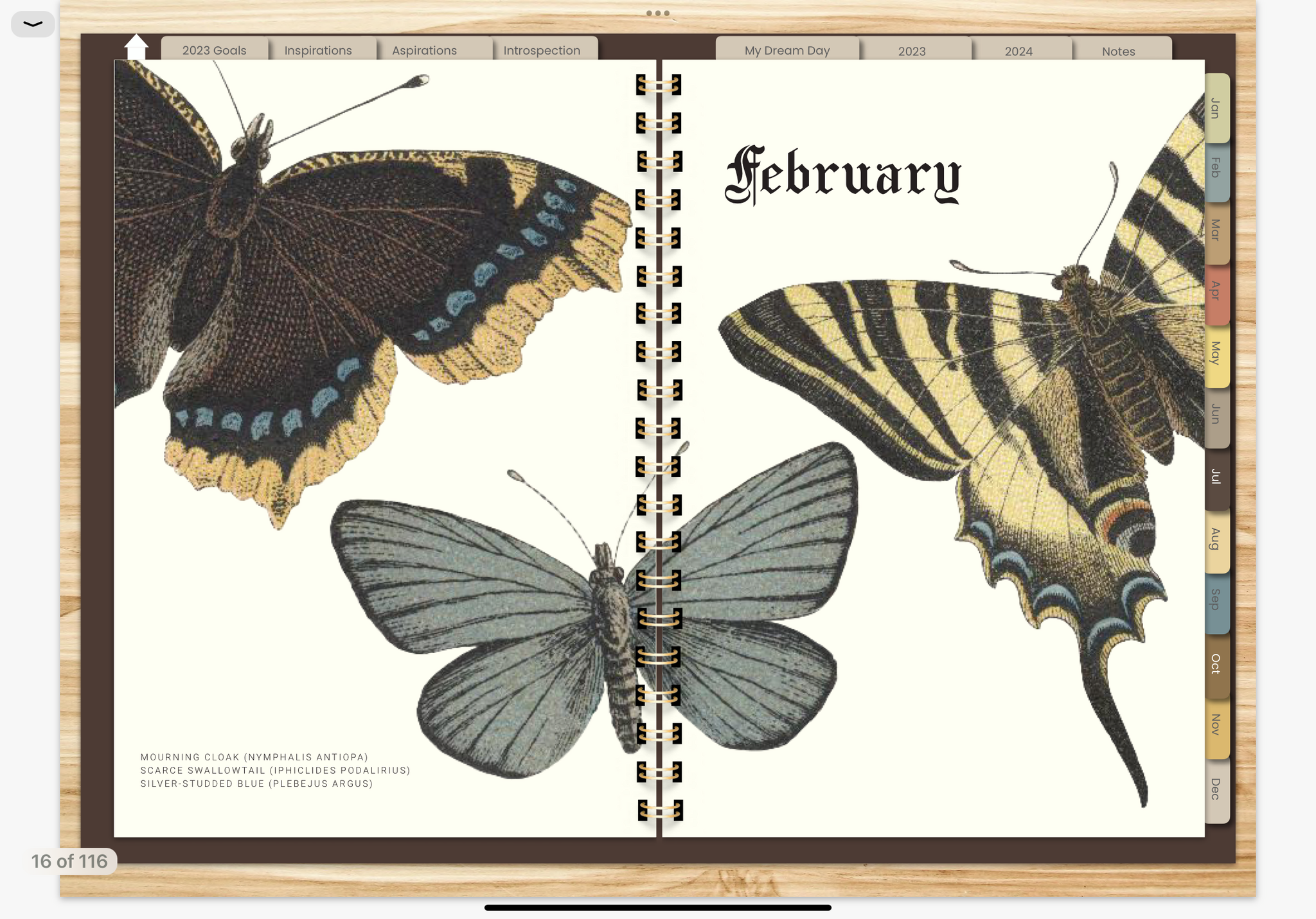 MOTHS & BUTTERFLIES 2023 DIGITAL PLANNER