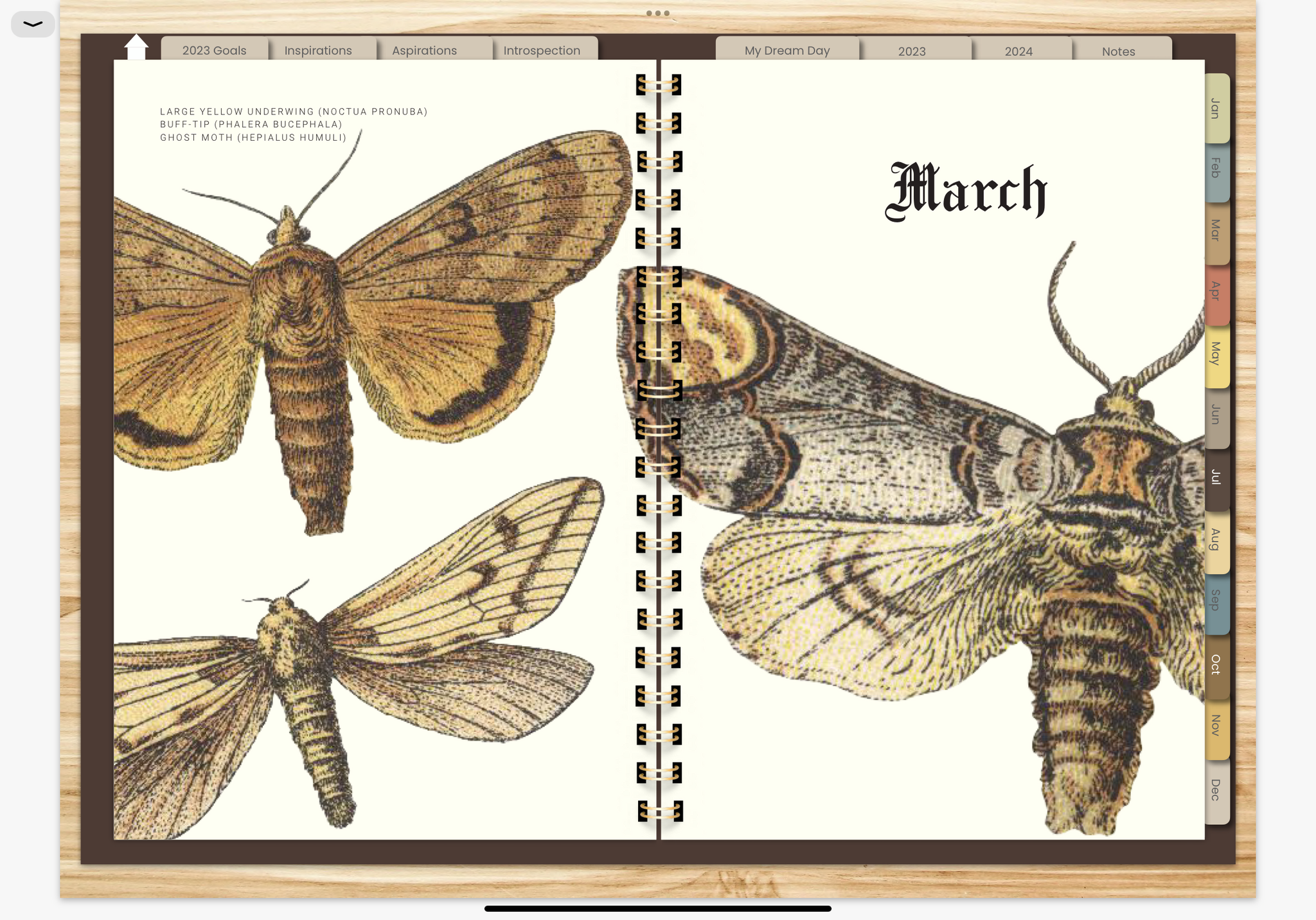 MOTHS & BUTTERFLIES 2023 DIGITAL PLANNER