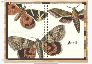 MOTHS & BUTTERFLIES 2023 DIGITAL PLANNER