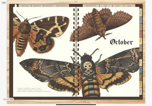 MOTHS & BUTTERFLIES 2023 DIGITAL PLANNER