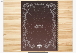 MOTHS & BUTTERFLIES 2023 DIGITAL PLANNER